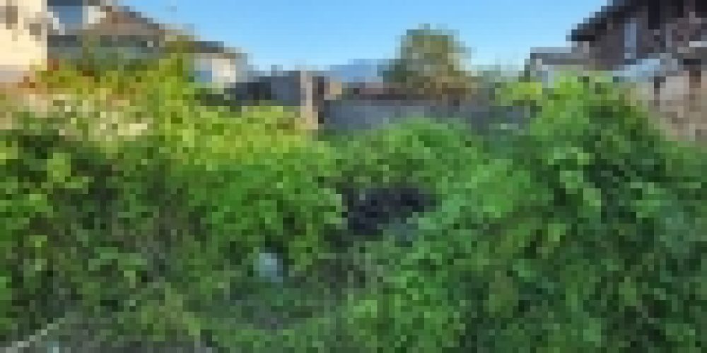 WhatsApp Image 2025-05-13 at 23.13.08 (5)