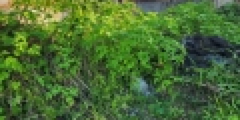 WhatsApp Image 2025-05-13 at 23.13.08 (6)