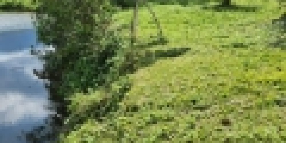 WhatsApp Image 2025-05-14 at 21.35.39 (1)