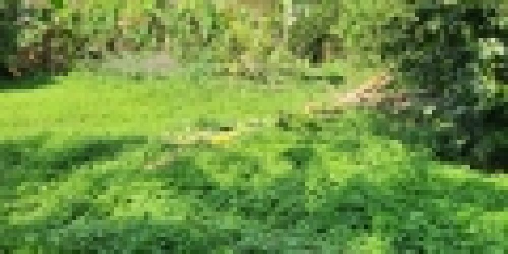 WhatsApp Image 2025-05-14 at 21.35.39 (3)