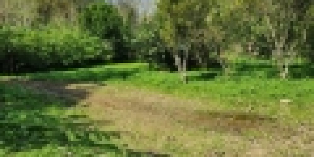 WhatsApp Image 2025-05-14 at 21.35.39 (5)