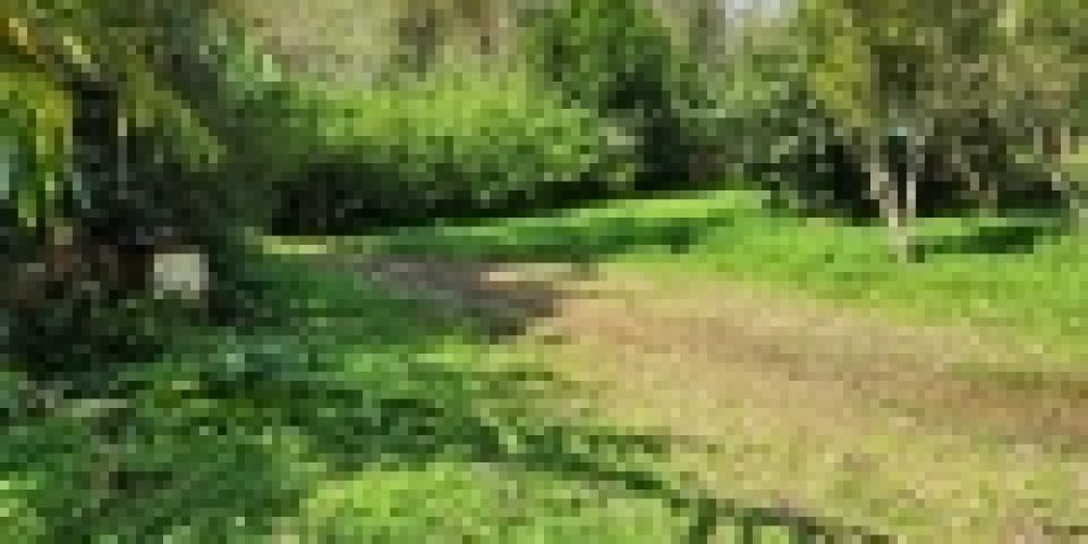 WhatsApp Image 2025-05-14 at 21.35.39