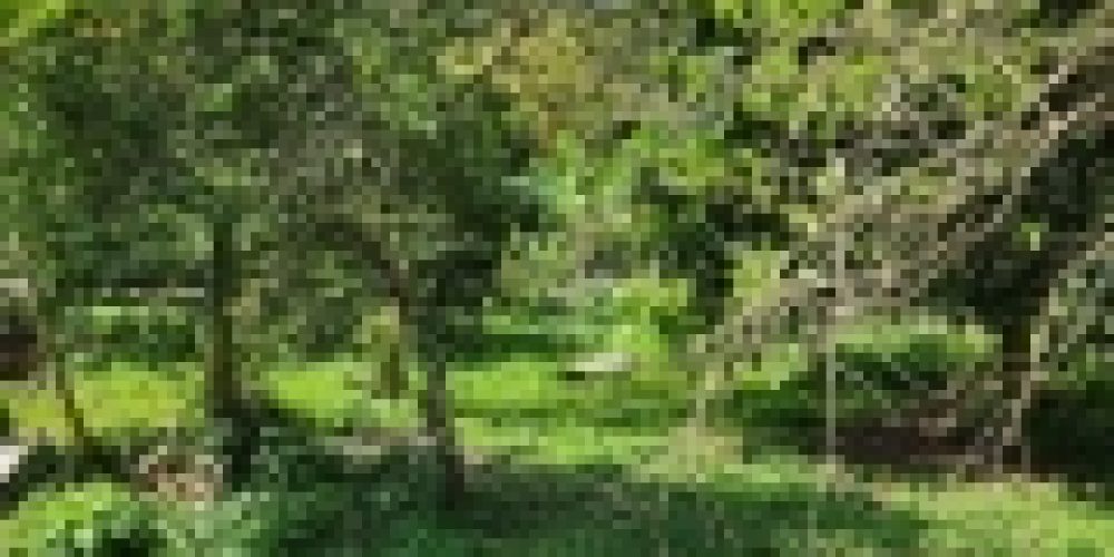 WhatsApp Image 2025-05-14 at 21.35.40 (1)