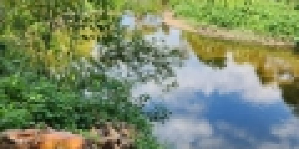 WhatsApp Image 2025-05-14 at 21.35.40 (2)