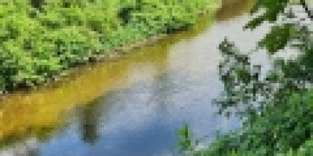 WhatsApp Image 2025-05-14 at 21.35.40 (3)