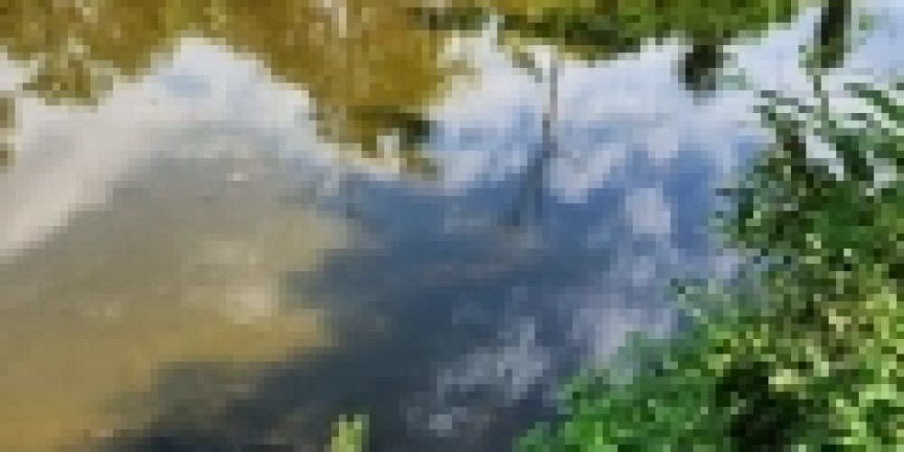 WhatsApp Image 2025-05-14 at 21.35.41 (1)