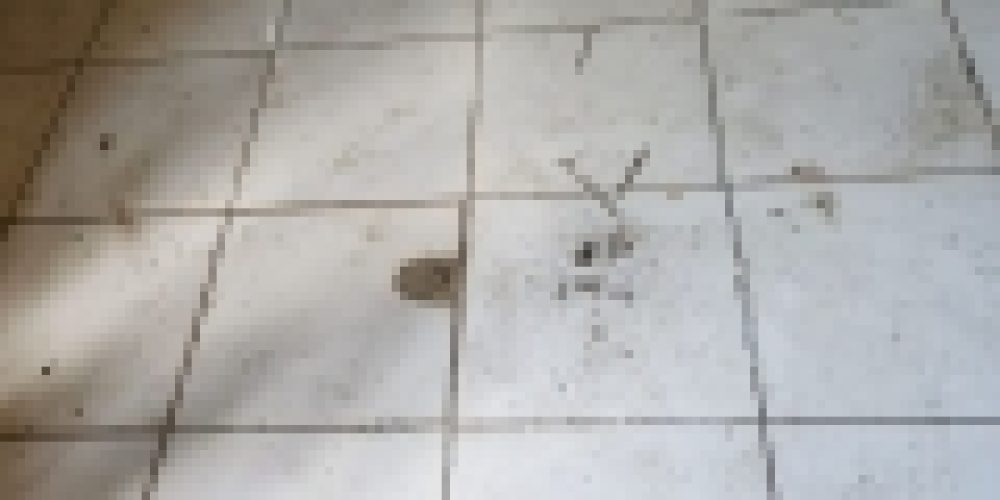 WhatsApp Image 2025-05-14 at 21.35.41 (3)