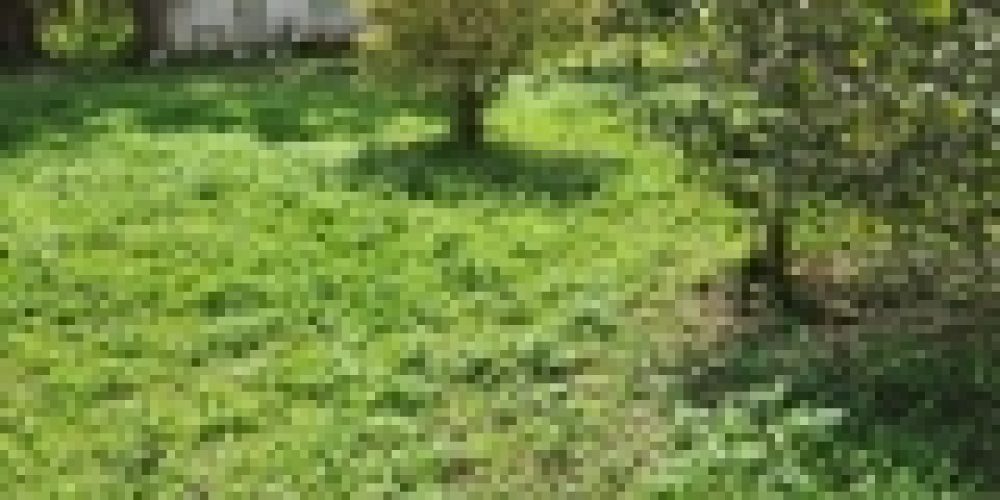 WhatsApp Image 2025-05-14 at 21.35.41 (4)