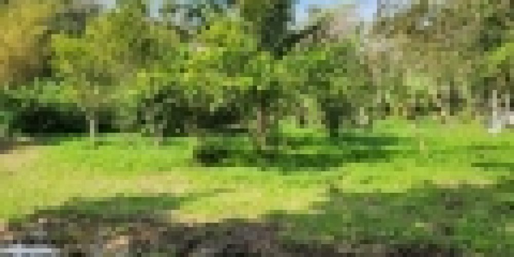 WhatsApp Image 2025-05-14 at 21.35.41 (5)