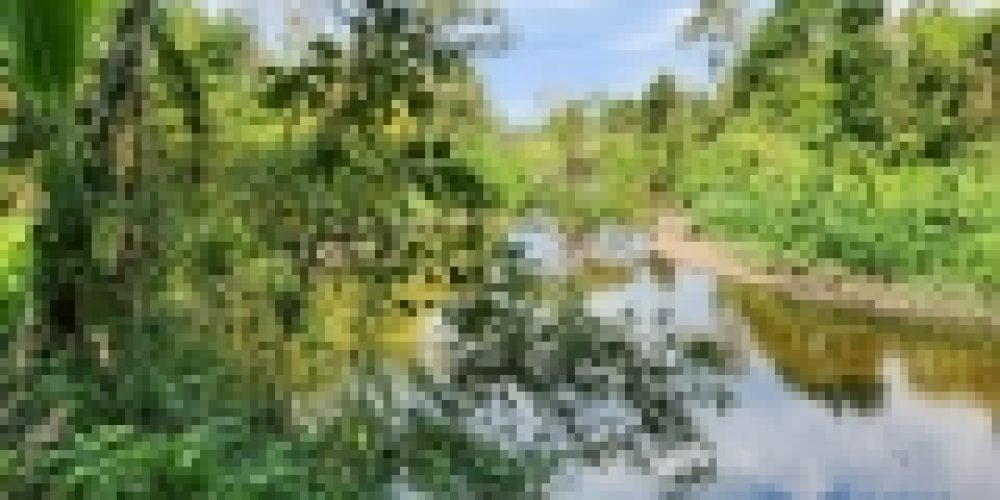 WhatsApp Image 2025-05-14 at 21.35.42 (1)