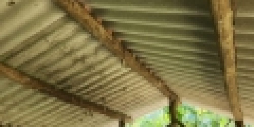 WhatsApp Image 2025-05-14 at 21.35.42 (2)