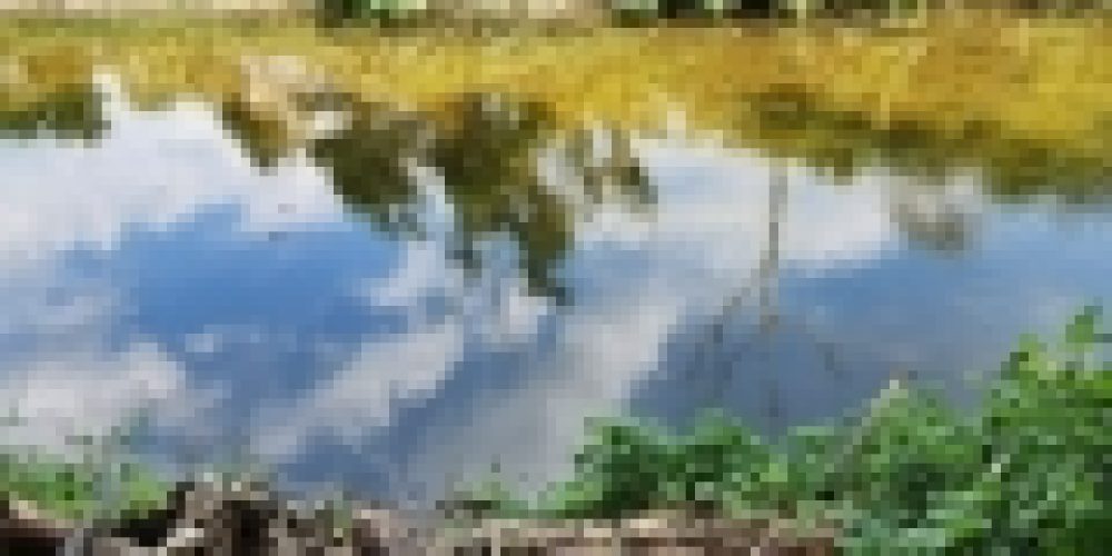 WhatsApp Image 2025-05-14 at 21.35.42