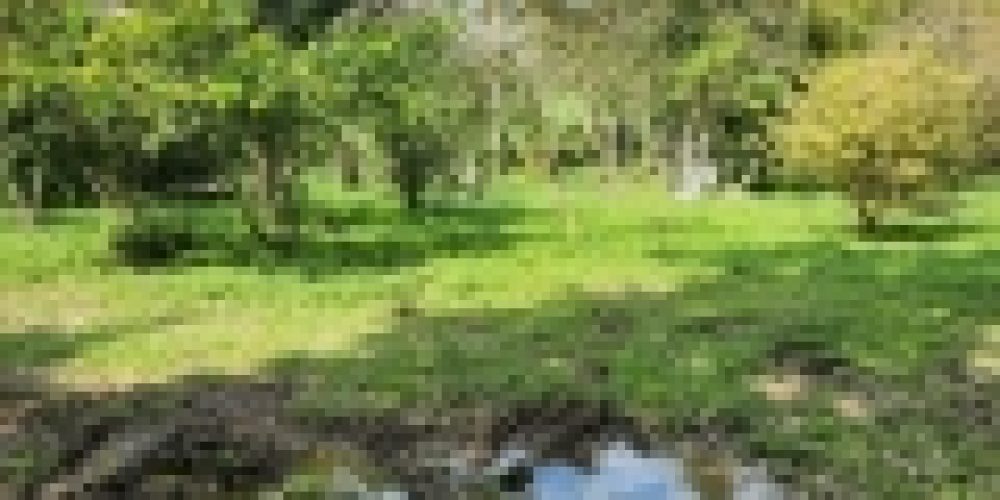 WhatsApp Image 2025-05-14 at 21.35.43 (2)