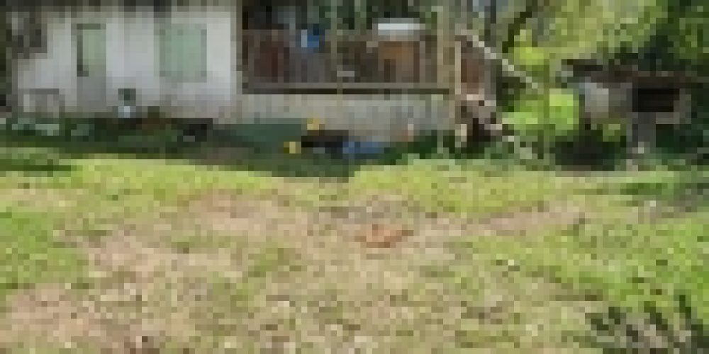 WhatsApp Image 2025-05-14 at 21.35.43 (3)