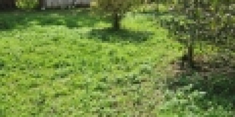 WhatsApp Image 2025-05-14 at 21.35.43 (5)