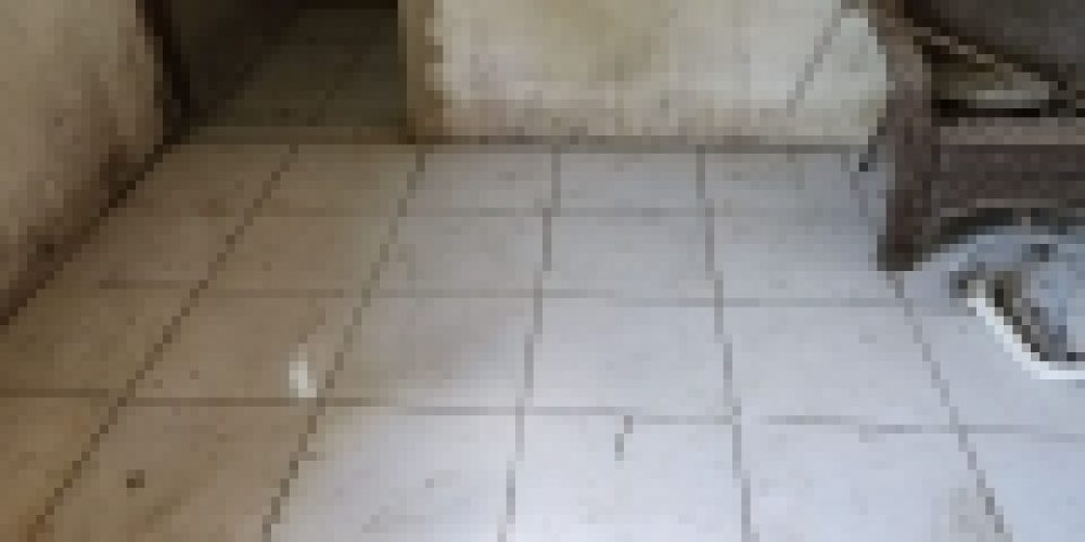 WhatsApp Image 2025-05-14 at 21.35.43 (6)