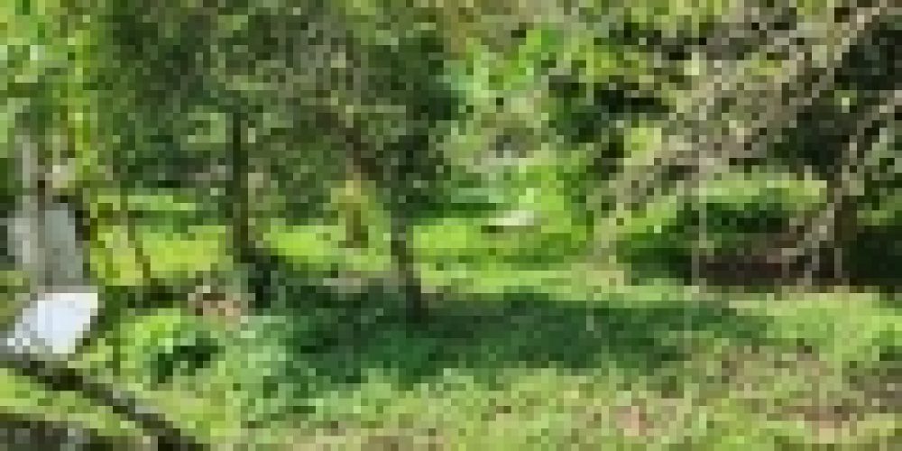 WhatsApp Image 2025-05-14 at 21.35.43 (7)