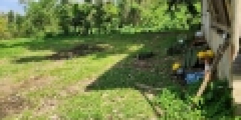 WhatsApp Image 2025-05-14 at 21.35.43