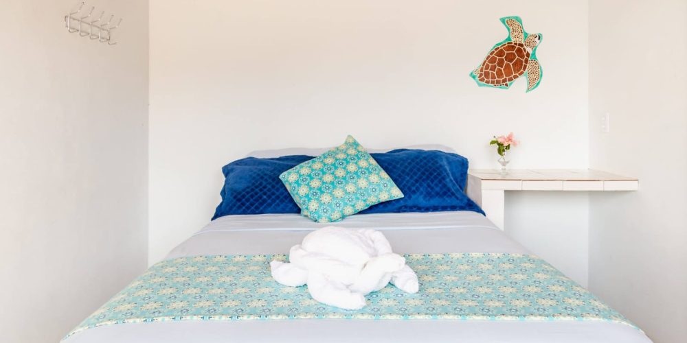 WhatsApp Image 2025-08-15 at 11.56.37