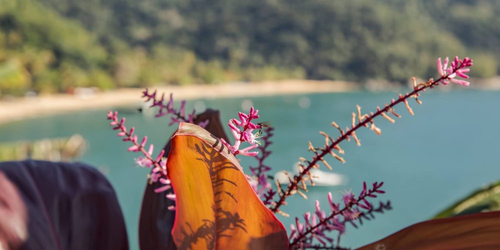 WhatsApp Image 2025-08-15 at 11.56.39 (2)