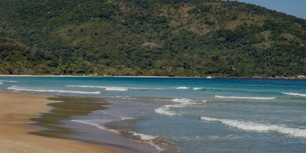 WhatsApp Image 2025-08-15 at 11.56.39