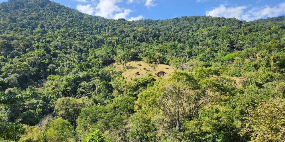 a748f530-9714-4bae-8dc7-81285ba4d12b