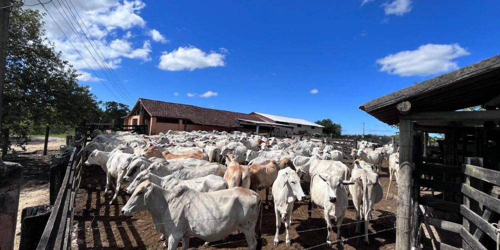 a9f3eba4-dc4f-4de3-a8be-ceb639d99ab3