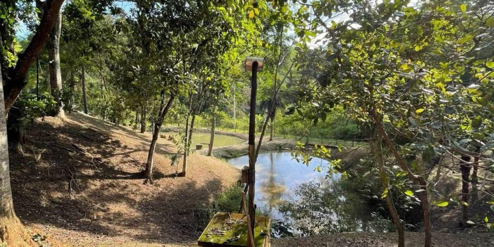 aa88820a-aa43-4c4f-b03d-ccfe5b8b4ff3