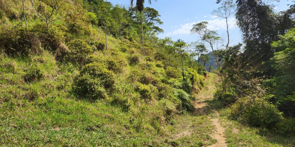 ac00f4a1-541e-4914-866f-fbcdd5322579