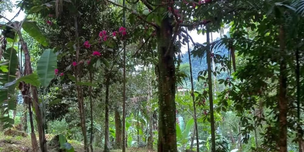 af87e6eb-7e51-41a7-964d-87061dcf2051