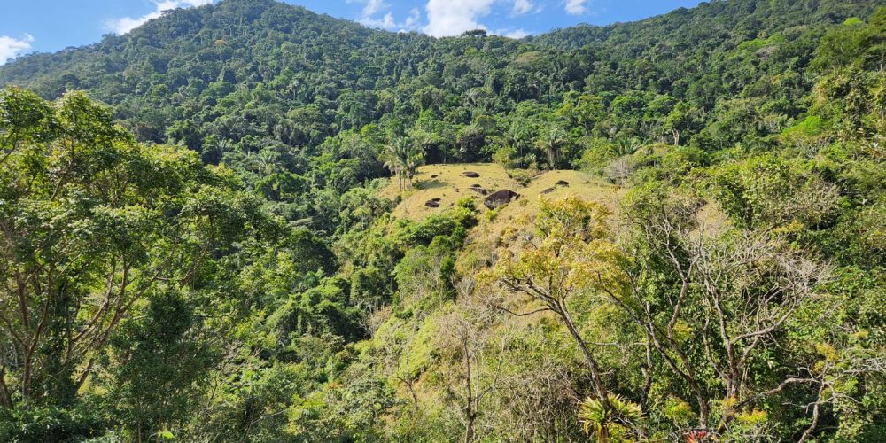 b3aed593-f1ba-4069-a979-af39f6dcaa45