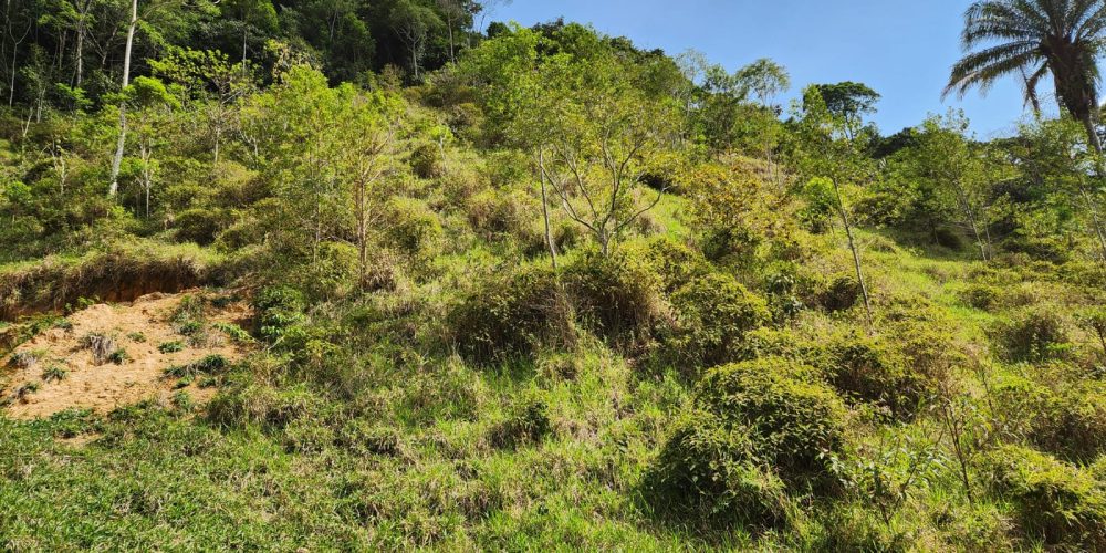 b918a6eb-f779-4465-8c78-5200def5de51