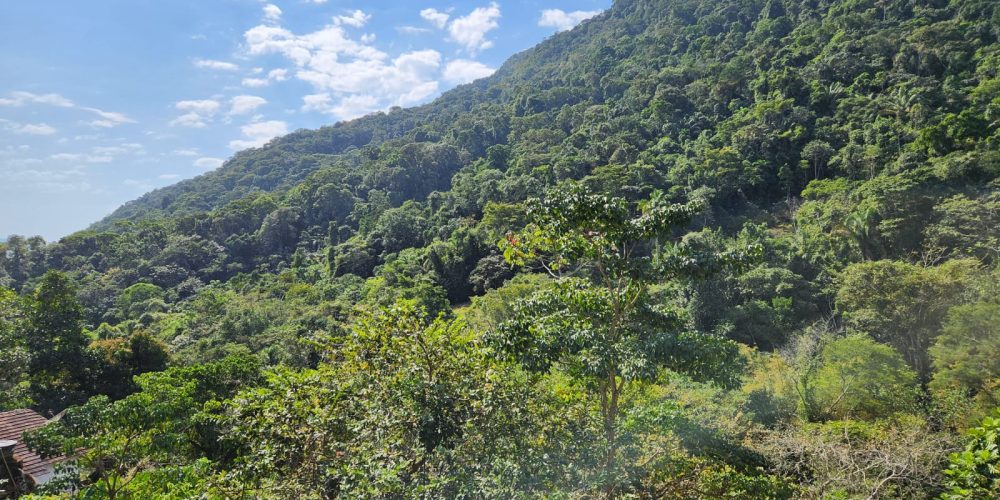 be46985d-f132-49c7-b9c5-5a9960a91b7b