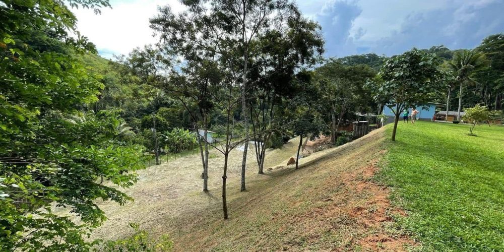 bfe9ddde-3ee2-4a82-9620-850bc3e49421