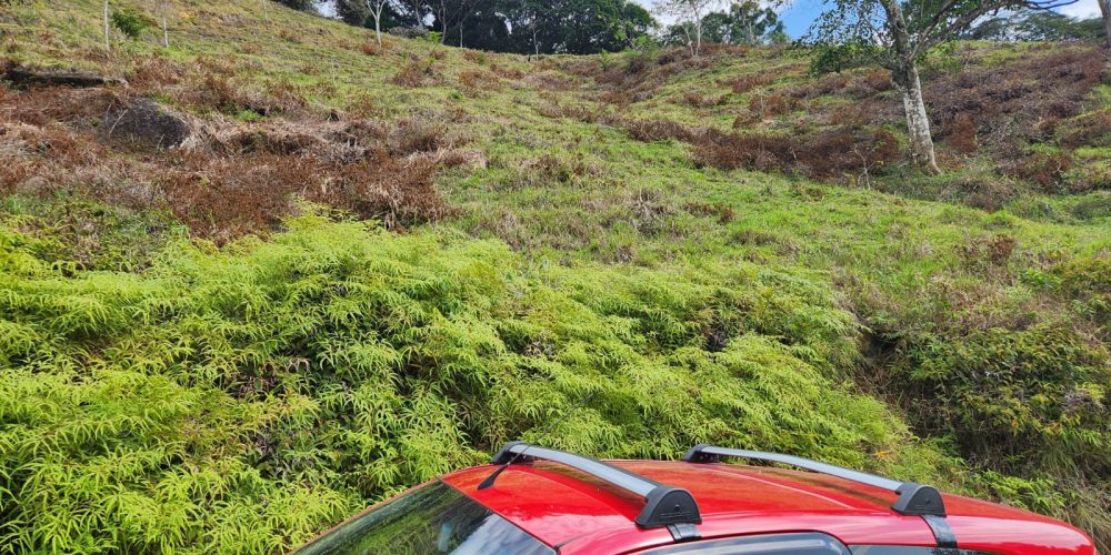 c254f3ee-47ee-4383-99f6-4ecc7cd0a7e3