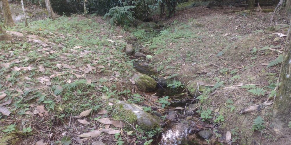 c77dd046-24f5-4625-b440-35d5b3fa463f