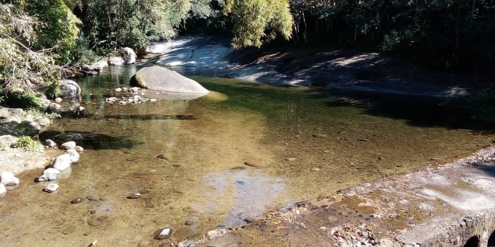 c8f2ca87-2f17-483c-b922-e9a3f94faa8e