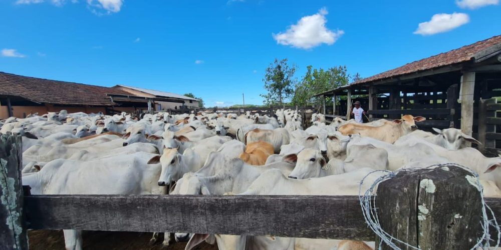 ca1c983a-cf42-4a63-a02b-a486601435bc