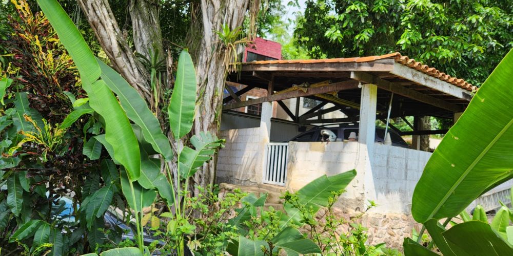 cb6fada5-0f83-425e-bf71-36c0212786ba