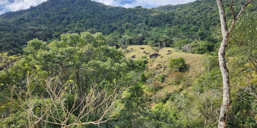 cd2e0478-305b-44b5-a7c2-1079e5c8f110