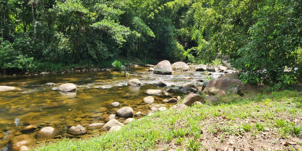 d2a35986-7ddc-490f-a6a7-460829bb9f73