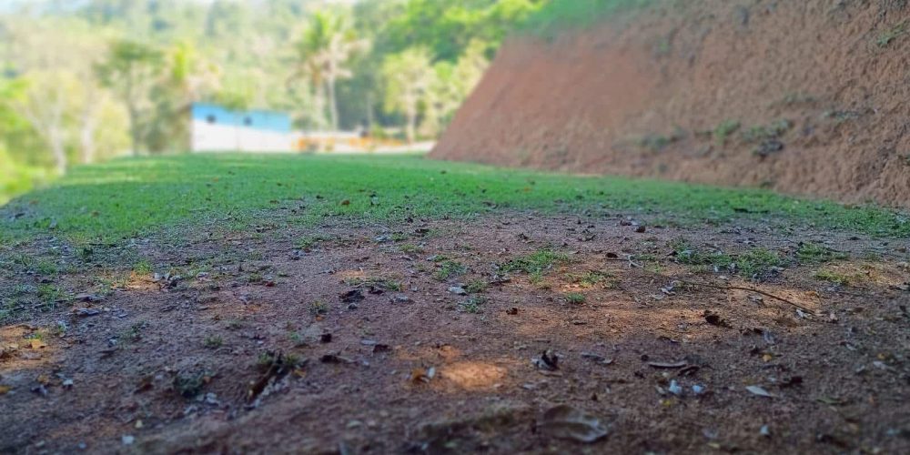 d3a81129-7634-4f49-8cc9-42e6b1bd7ac3