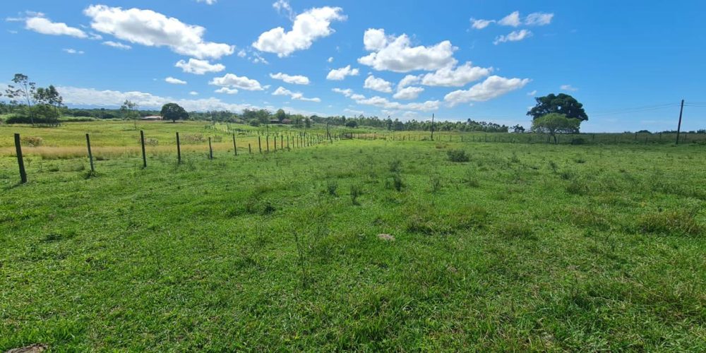 d775ce8a-facf-469d-9774-57a08adacb0a