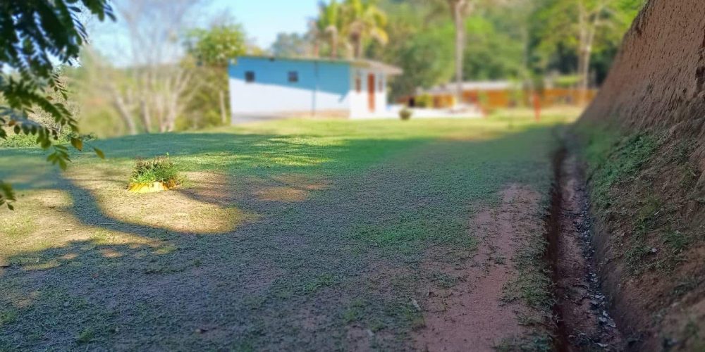 d8c4db03-7c7c-4180-a4f0-dd59b5d86015