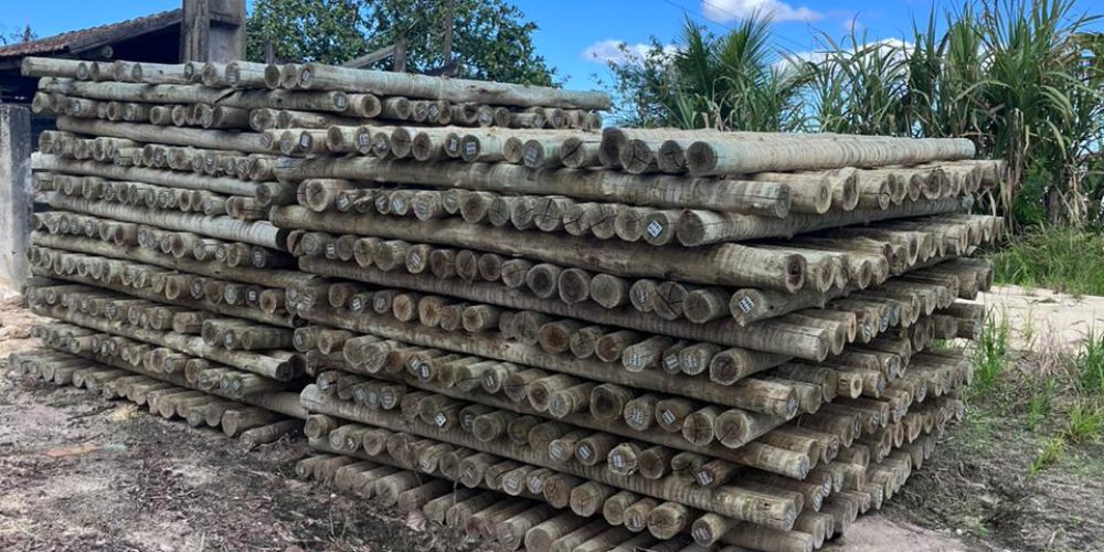 db1fd278-d4c6-4393-a6cb-e61c6c2b8b23 (1)