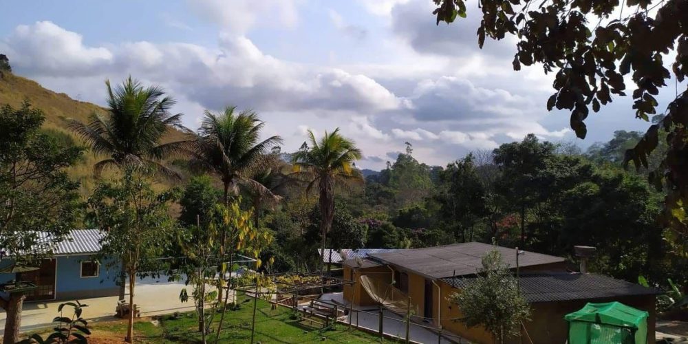 db21617d-373a-4115-8796-29f0c80da37a