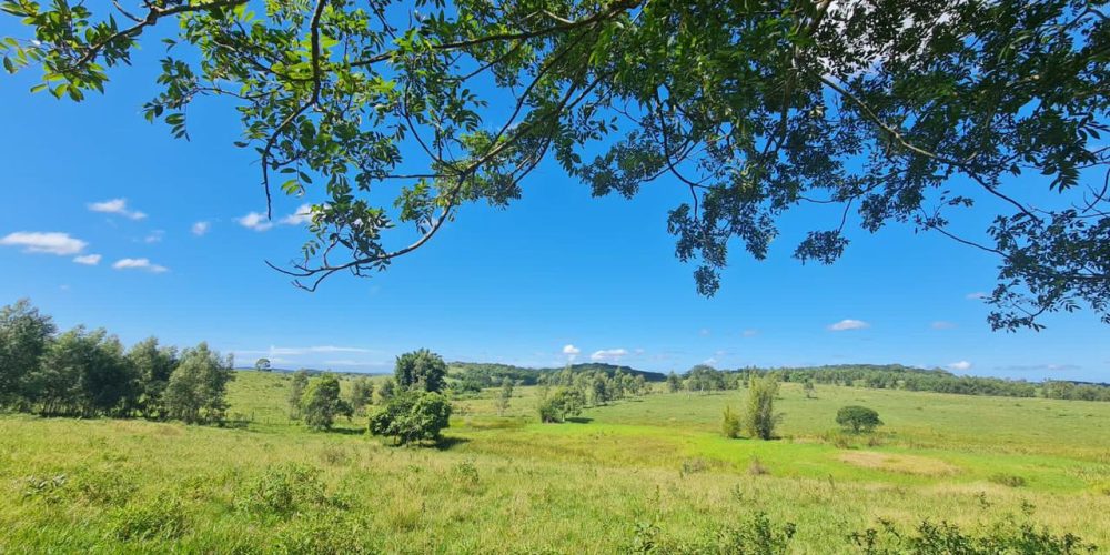 db6b22a6-08f5-4a76-b0ca-9e4faf0462e1