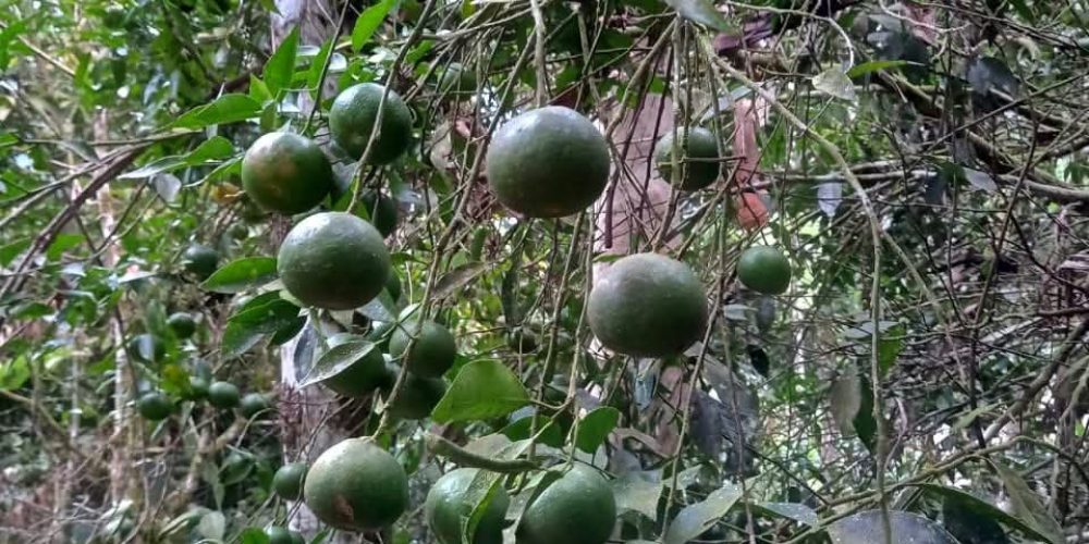 dc186fa7-936c-4ff8-b8e0-71204bcf2307