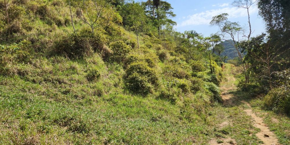 df967c61-e863-4d36-9548-f58d7773c727