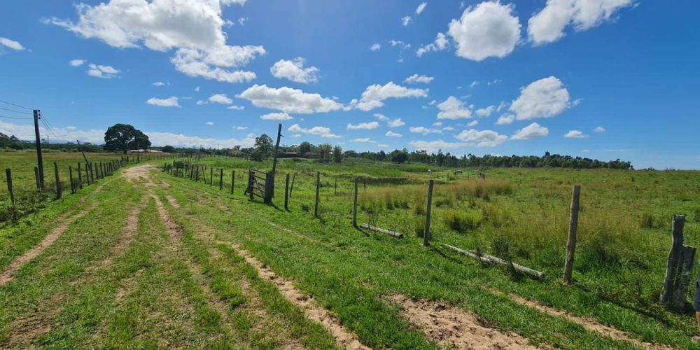 e04cbc17-f7b2-4b5d-b0c9-8ec0f49e3eef